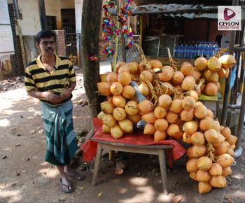 king-coconut-seller-sri-lanka