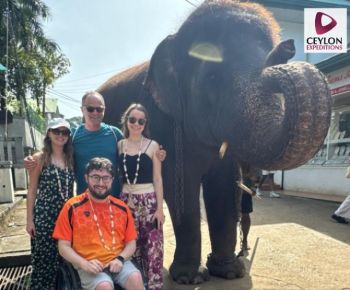 elephant-orphanage-pinnawala-ceylon-expedition