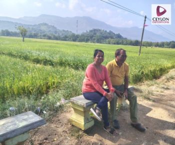 couple-at-rice-field-ceylon-expeditions